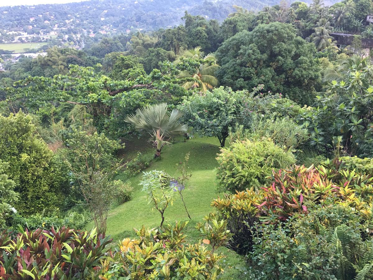 Treetops Villa بورت أنطونيو المظهر الخارجي الصورة