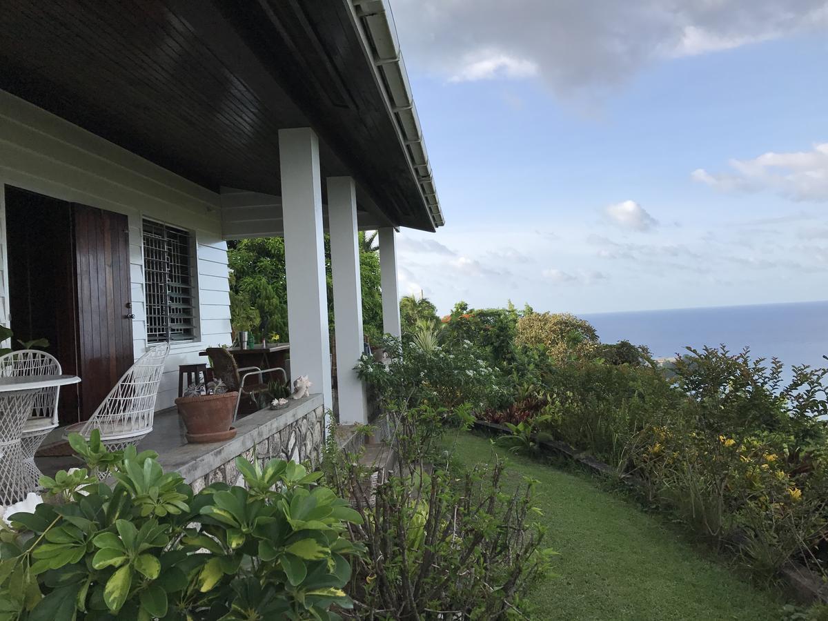 Treetops Villa بورت أنطونيو المظهر الخارجي الصورة