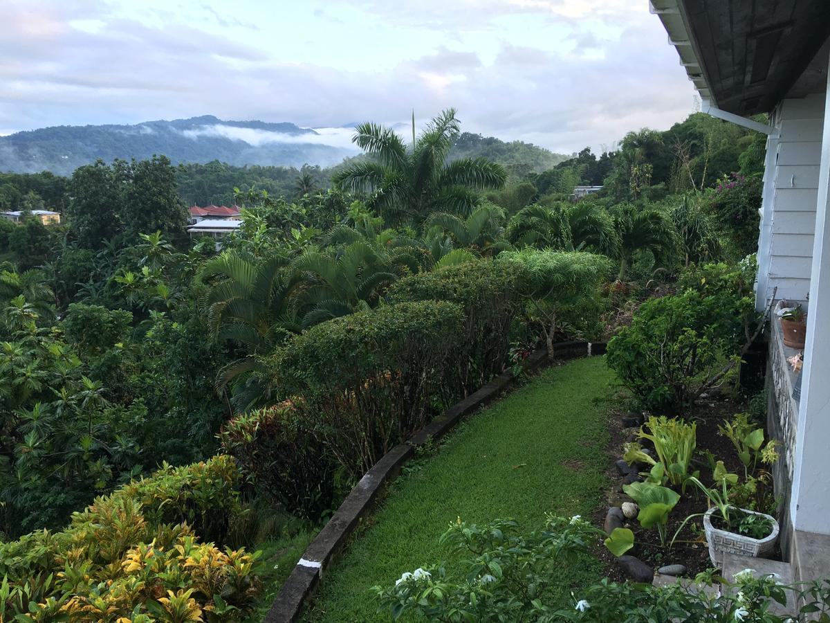 Treetops Villa بورت أنطونيو المظهر الخارجي الصورة