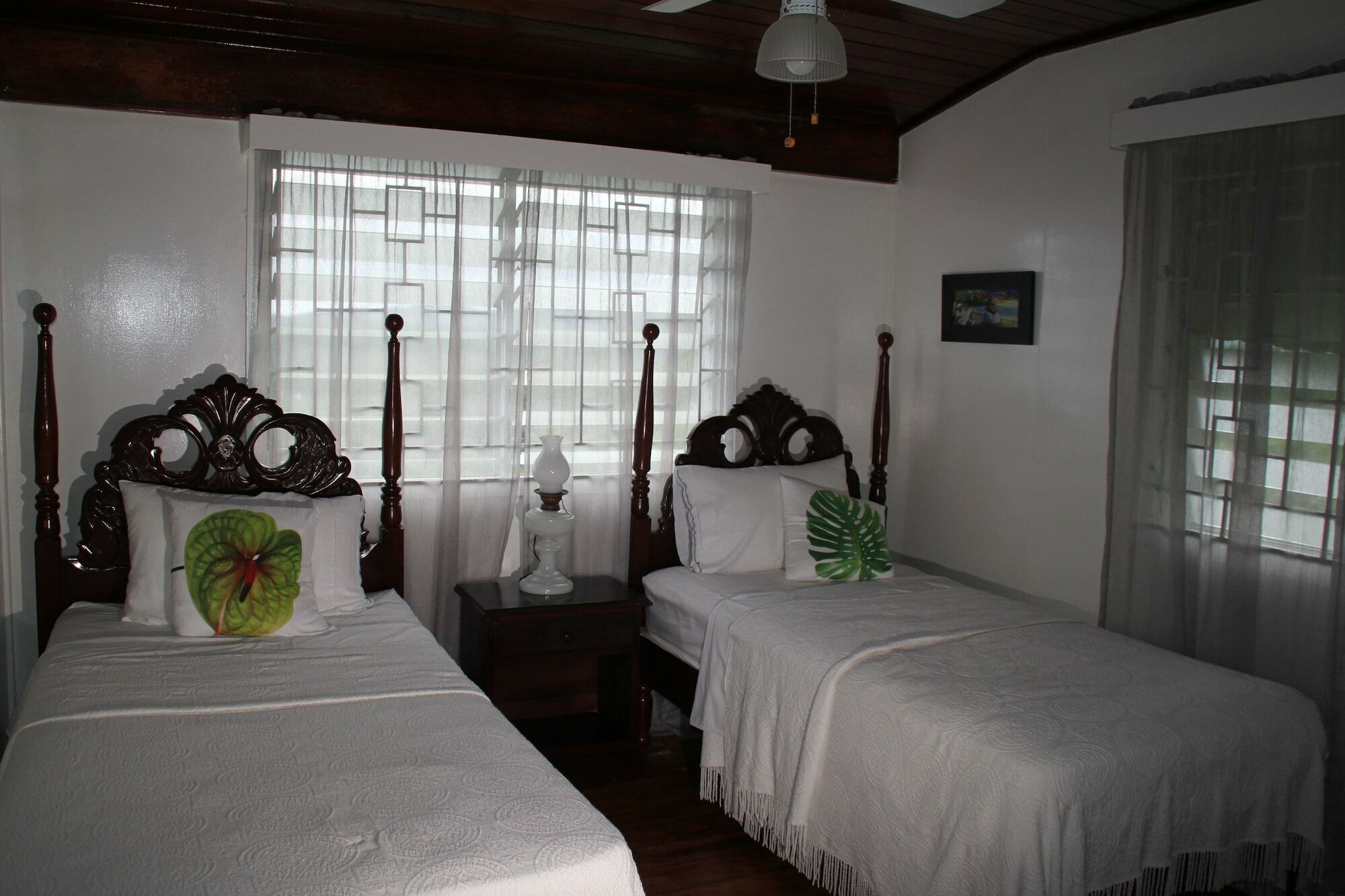 Treetops Villa بورت أنطونيو المظهر الخارجي الصورة